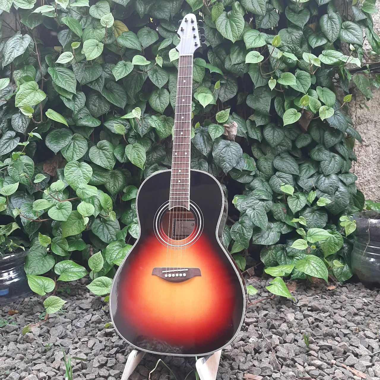 CiKa Sunburst